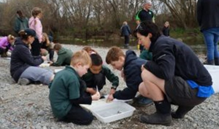 Planting at Foster Park