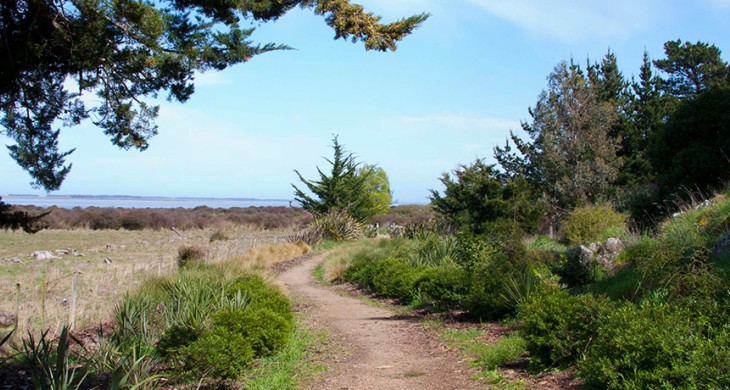 Te Waihora walking